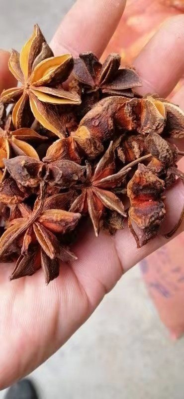南乐县 大红八角一过筛.大6成干货