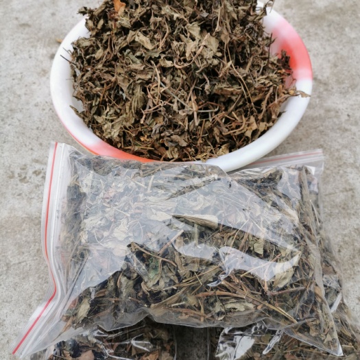  纯正野生鱼腥草，及各种野生药材欢迎合作