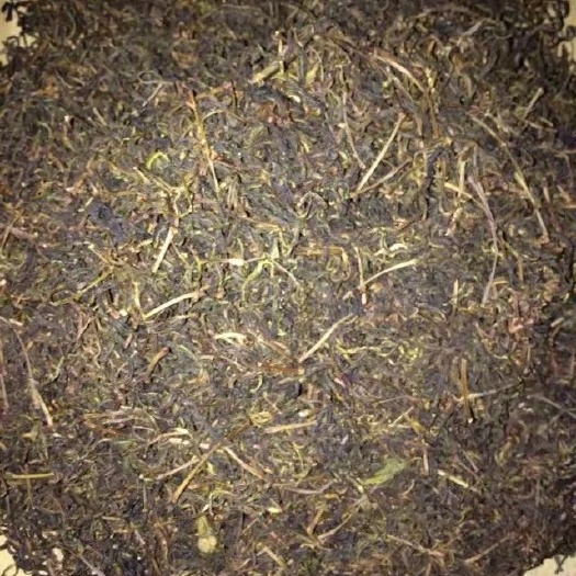 梅州本山茶 深山云雾山茶