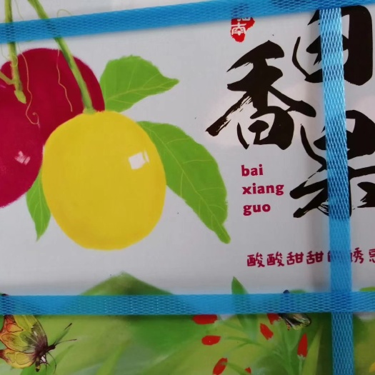 海口 黄金百香果，紫金百香果，满天星百香果都有货