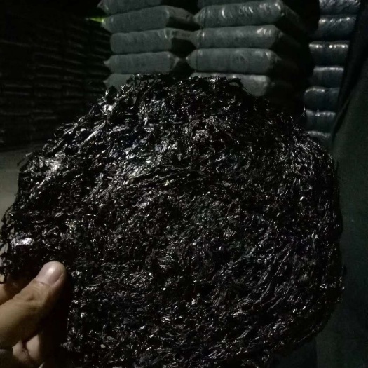 郑州 19年新紫菜，福建霞浦头水二水紫菜无砂产地直销一件代发