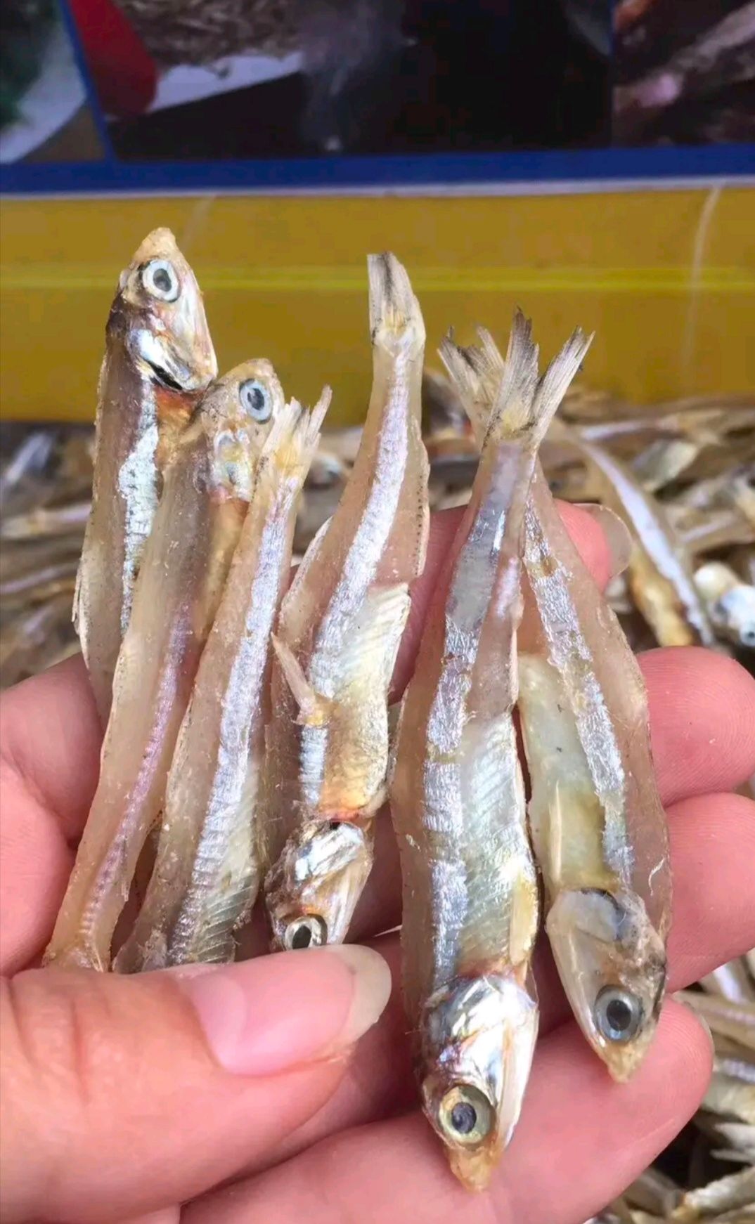 [鱼干批发]鱼干 小干鱼 深海天然 市场跑江湖热销价格8