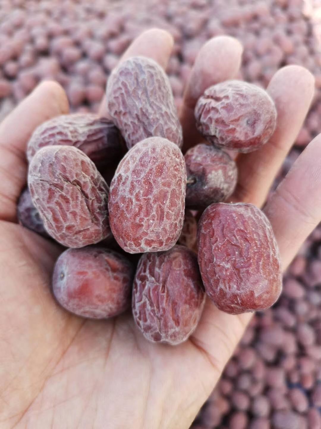 新疆红枣 新疆阿克苏灰枣，胡小肉厚的一级大枣，味正甘甜