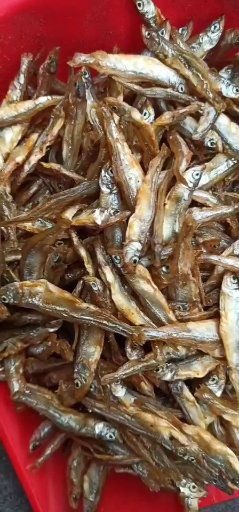 沭阳县干炸小公鱼 淡水油炸大公鱼
