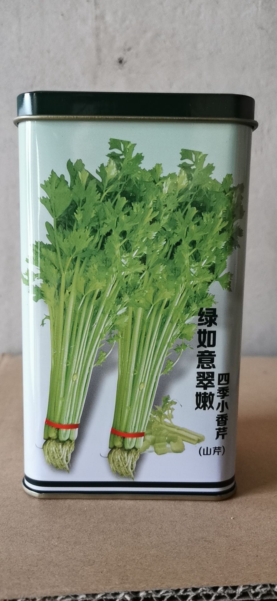 邯郸香芹种子  四季小香芹山芹 大田菜园芹菜种子 高产 生长速