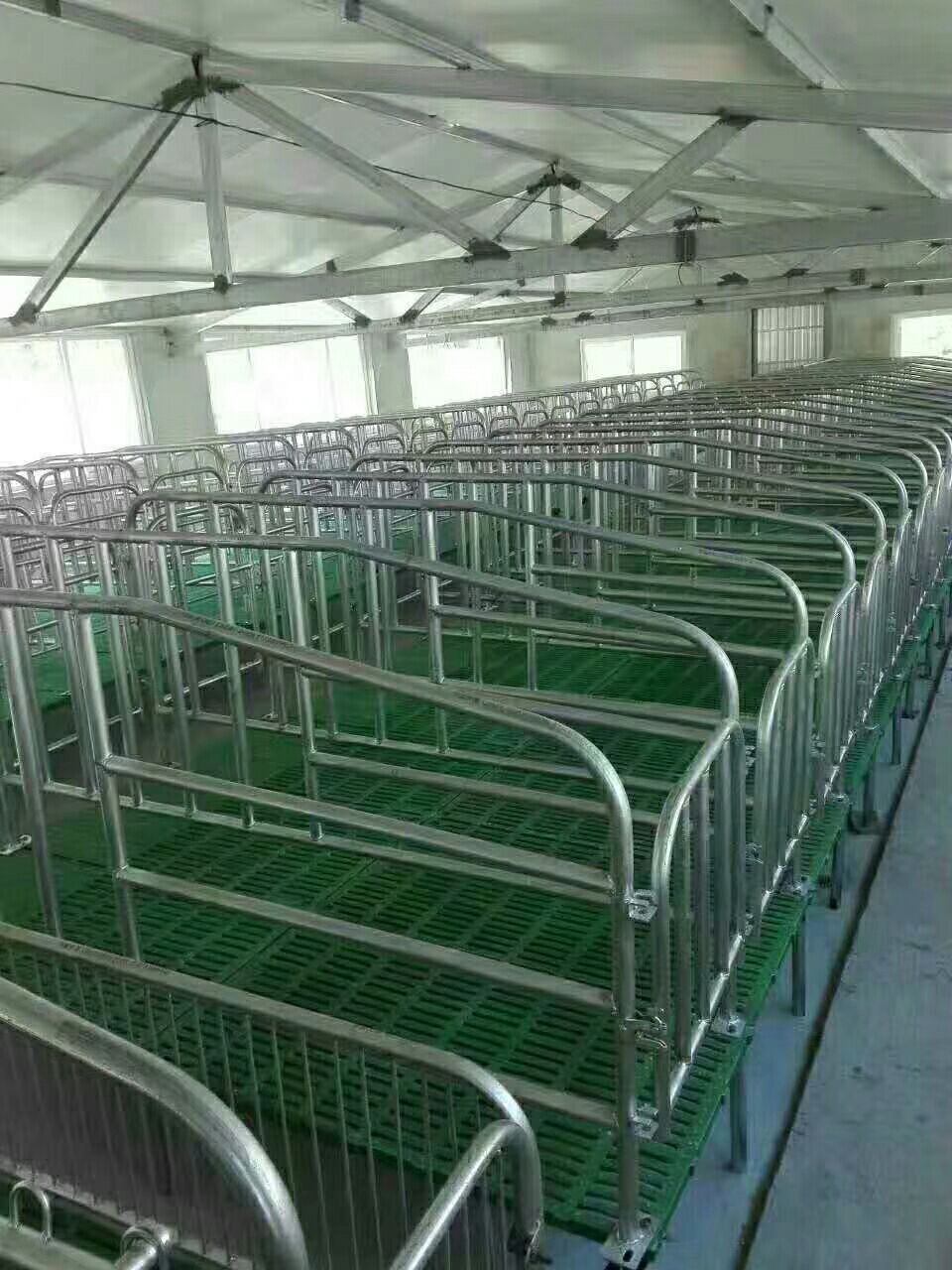  定位栏 限位栏 母猪产床 养猪限位栏 生猪定位栏