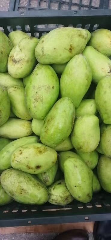 凭祥市玉芒 4两以上