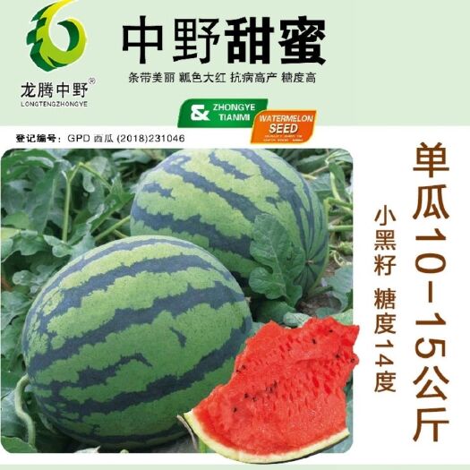 樟树市中野甜蜜早熟杂交亲本大田用甜王西瓜种子新品种适宜春、秋露地