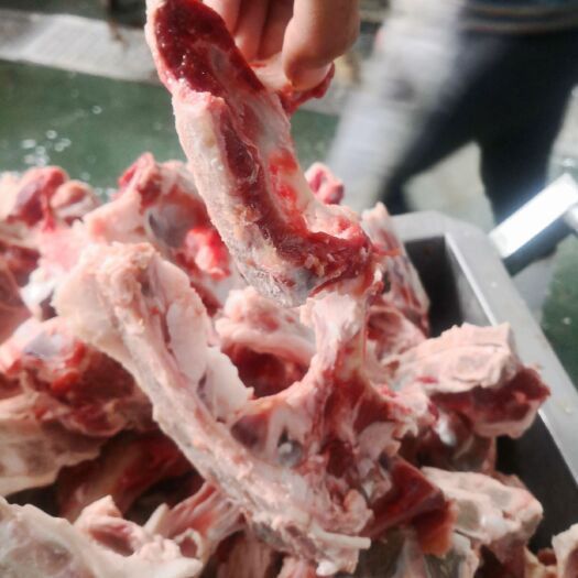 献县羊骨  叉骨
