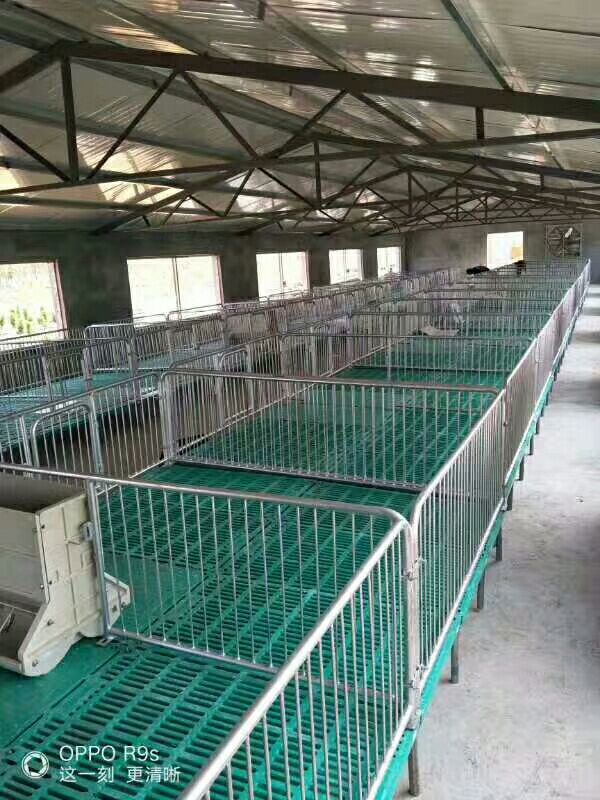  定位栏 限位栏 母猪产床 养猪限位栏 生猪定位栏