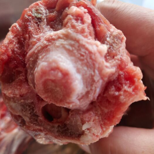 扬州羊蝎子 满肉鲜嫩小羊脖子