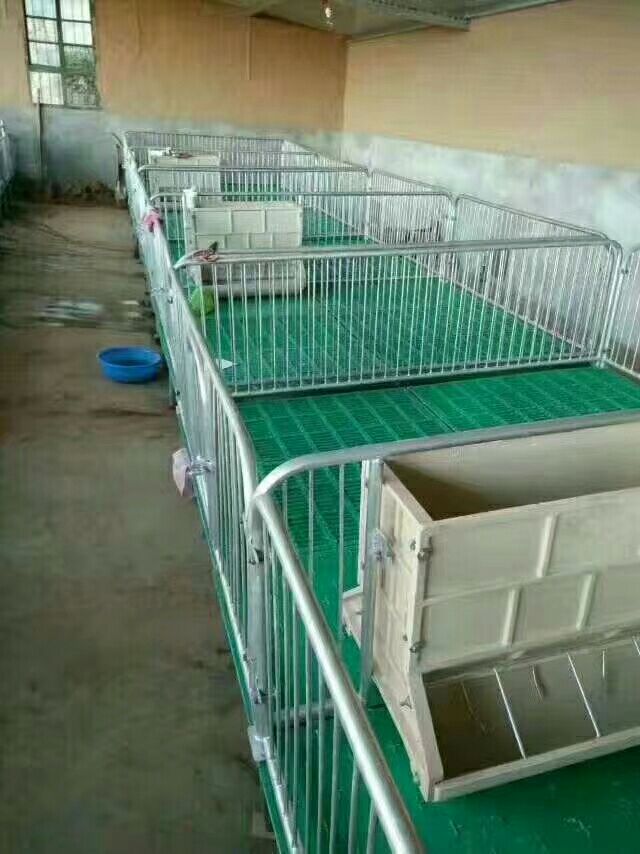  定位栏 限位栏 母猪产床 养猪限位栏 生猪定位栏