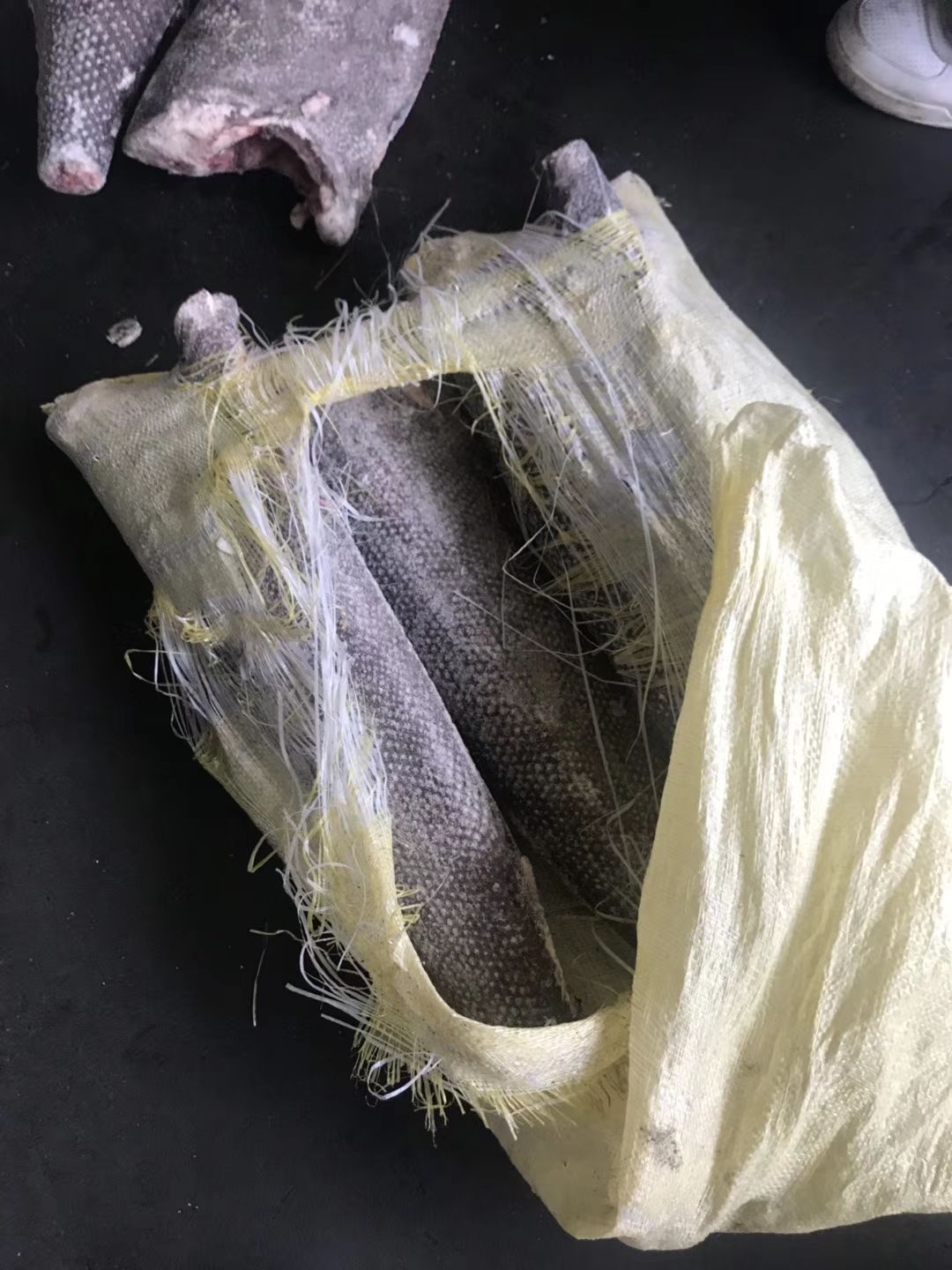 沙甘鱼 油甘鱼