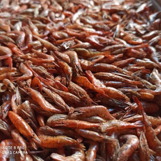 苏州烤虾干  精品淡水烤箱大红虾。
