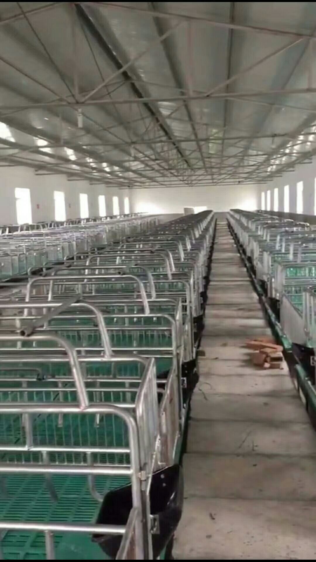  定位栏 限位栏 母猪产床 养猪限位栏 生猪定位栏