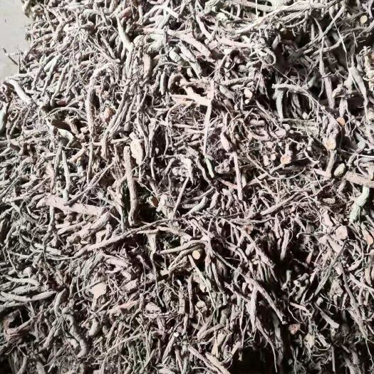 汉源县 川牛膝，芍药，量大，价格优惠。
