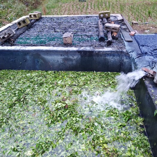 独山县包装桶  2019贵州蓝靛泥靛蓝膏天然纯植物染料
