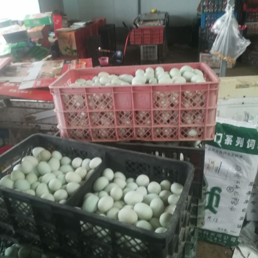 桓台县 鸭蛋