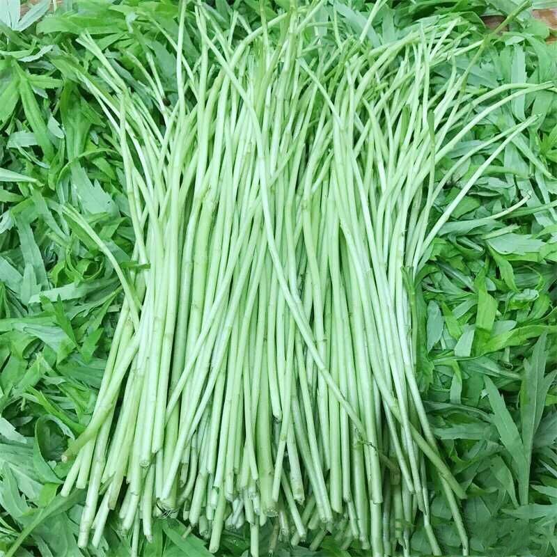 青藜蒿 八卦洲芦蒿 即将上市，预购从速。