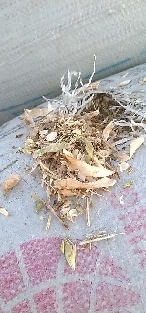 蒙城县牛羊饲料  牛羊草料。黄豆荚，豆皮。