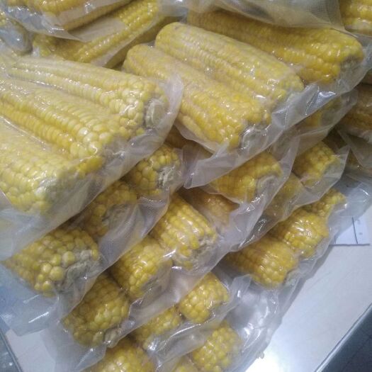绥芬河市速冻糯玉米 速冻粘玉米