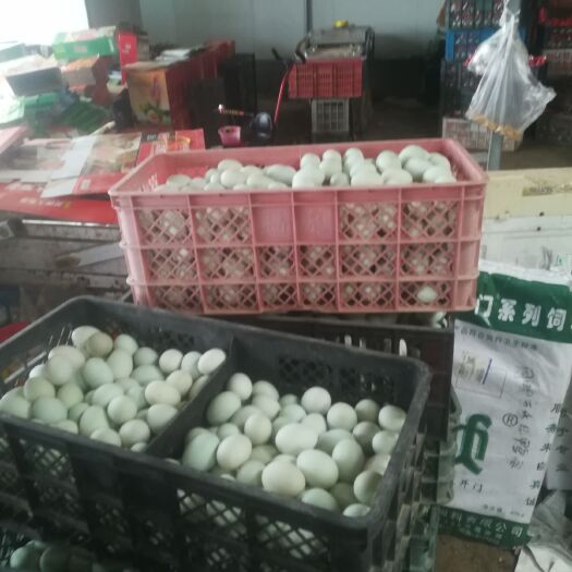 桓台县 鸭蛋