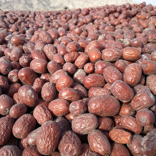 图木舒克新疆红枣 自家种植大量优质灰枣出售