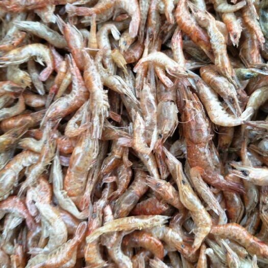 苏州红虾干 生晒大虾，好吃美味。