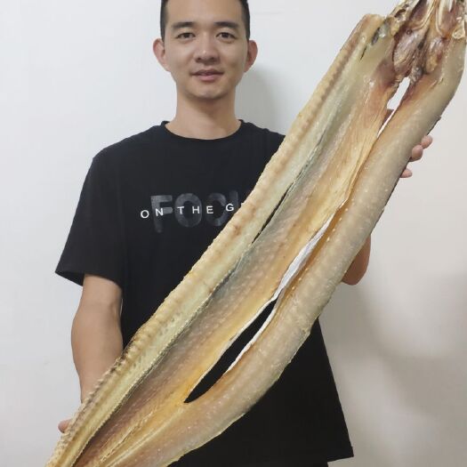 湛江硇洲岛鳗鱼干肉质厚实淡晒足干2-4斤条风干大鳗鱼低盐晒干