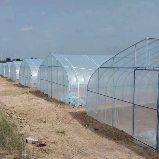 沭阳县蔬菜大棚 厂家直销各类养殖大棚  蔬菜棚