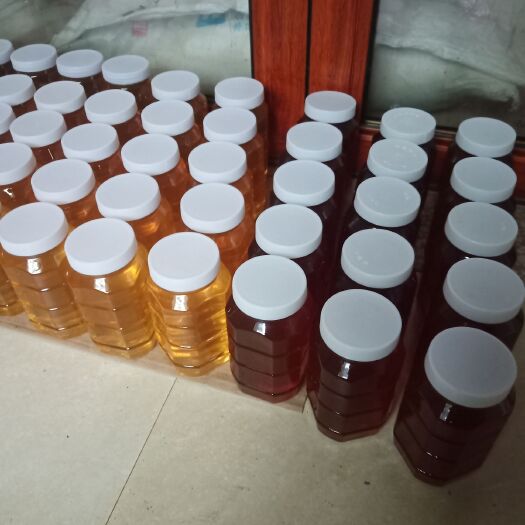 新宁县槐花蜜 塑料瓶装 2年 