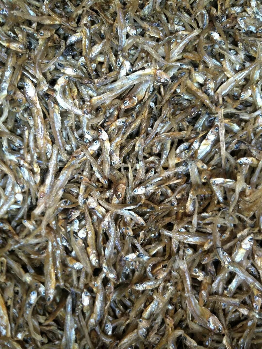 公鱼干  天然小鱼干，价格实惠