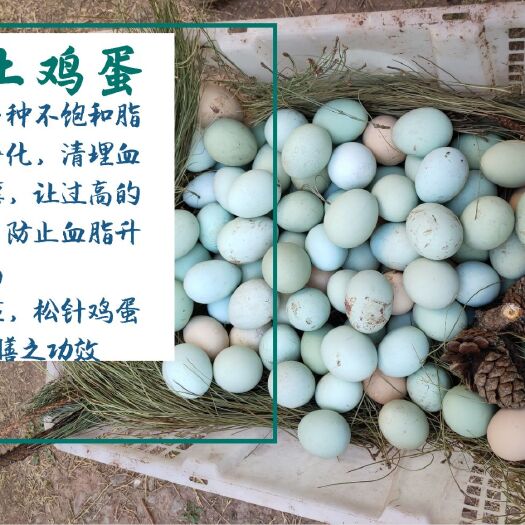 西昌市土鸡蛋 食用 礼盒装