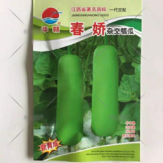 南靖县瓠瓜种子  蒲瓜种子