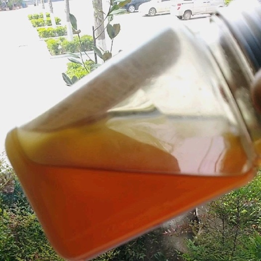 临朐县百花蜜 桶装 2年 