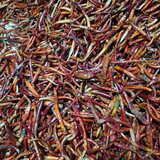 宣威市花皮干辣椒 三级椒