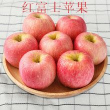 绛县苹果树苗新品种红富士烟八苹果苗山西基地批发