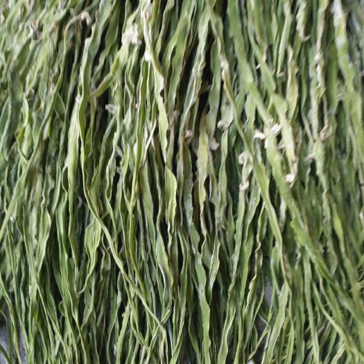 睢宁县贡菜  好吃也叫苔干菜凉拌炒吃均可老少皆宜营养丰富