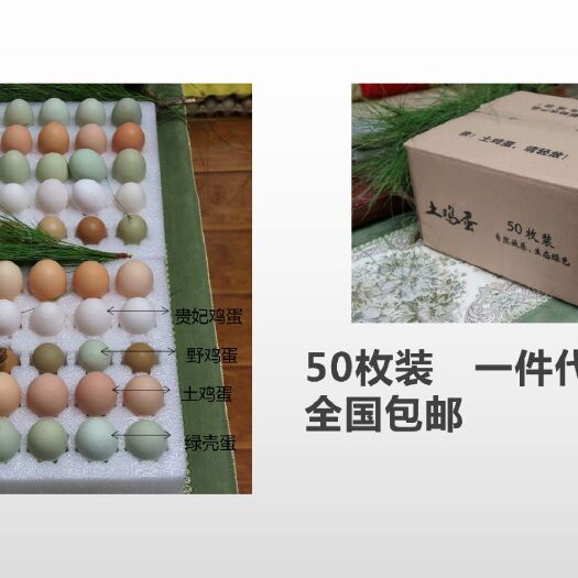 西昌市土鸡蛋 食用 礼盒装