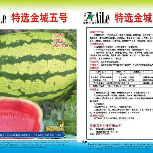 韶山市金城五号种子 金诚五号