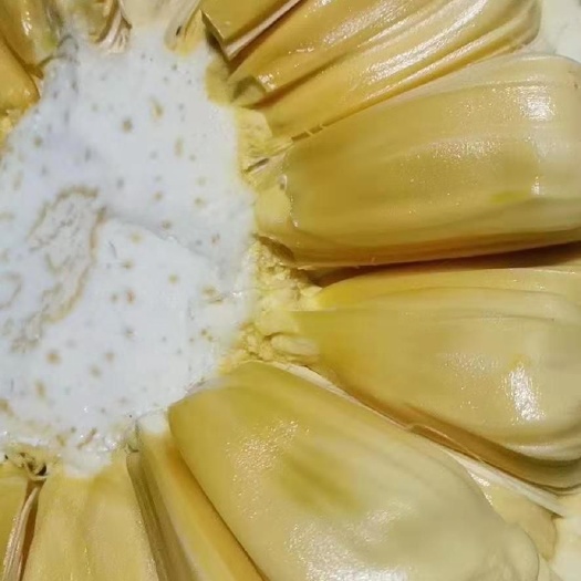 博白县 精品泰国菠萝蜜