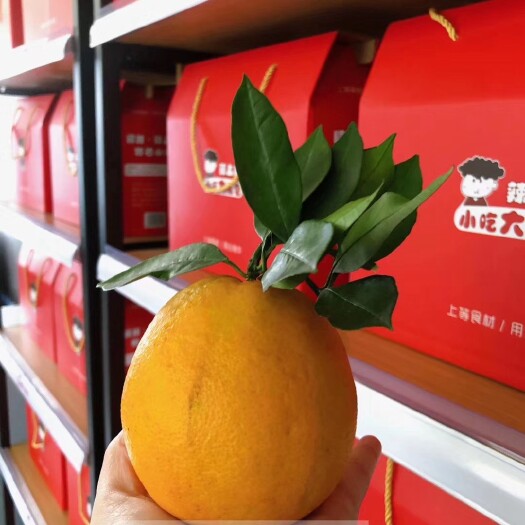 重庆市开县脐橙 糯娃脐橙