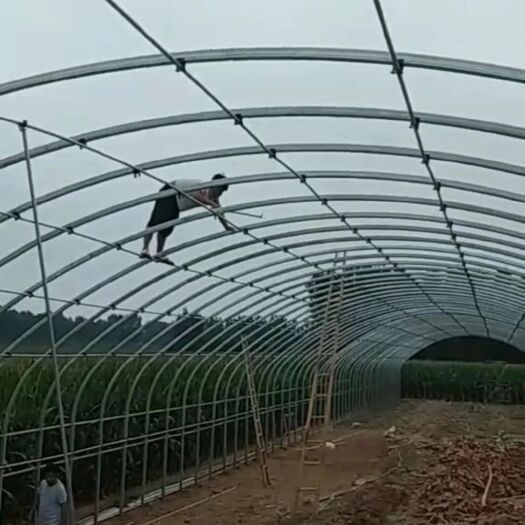 天津大棚管 各种大棚