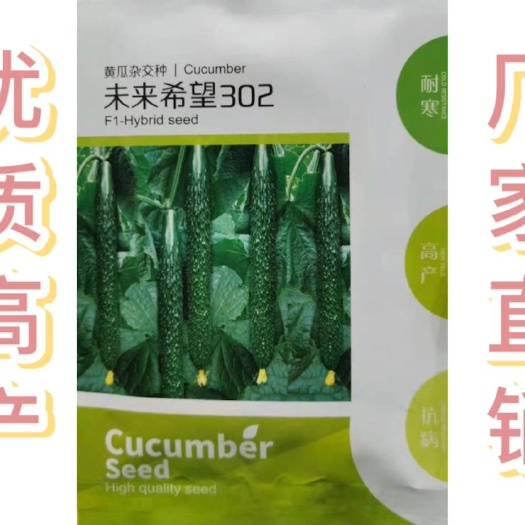 黄瓜种子 高产优质强雌密刺耐寒未来希望302 一叶一瓜