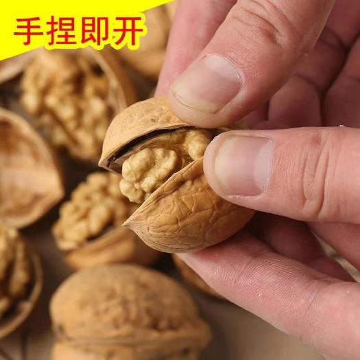 平邑县 纸皮核桃苗，基地直供，现挖发货，品种保证，量大优惠