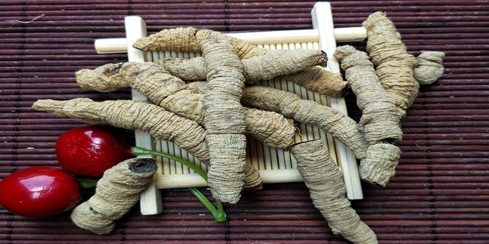 肇庆 特级巴戟肉