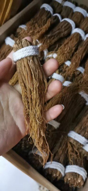 昆明红参须