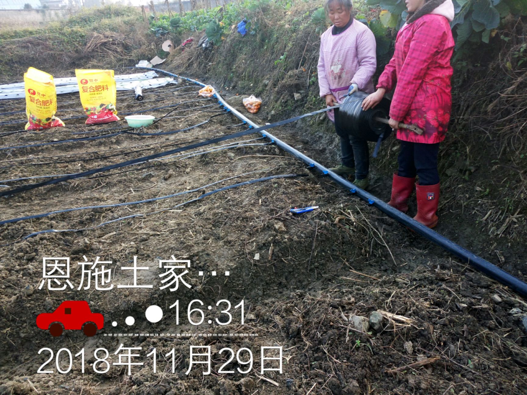 滴灌带 草莓、土豆、山药滴灌、膜下滴灌，大棚蔬菜滴灌安装简单