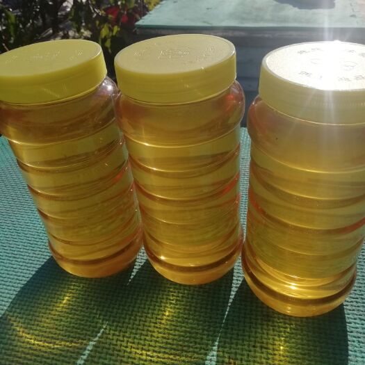 海林市 您想买纯正的蜂蜜吗。自产自销天然无污染，，真正的原