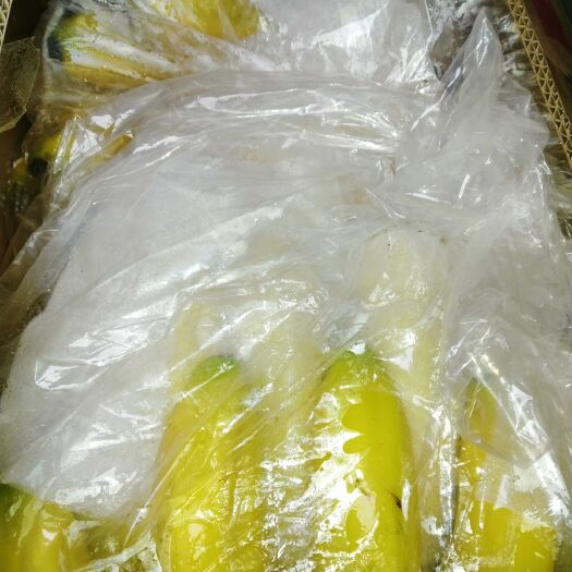 原阳县 海南精品香蕉不受寒纯三把果面干净